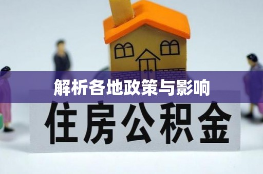 弥渡解析各地政策与影响
