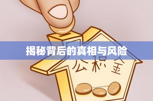 弥渡揭秘背后的真相与风险