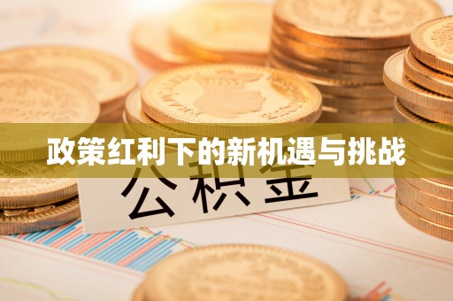 弥渡政策红利下的新机遇与挑战