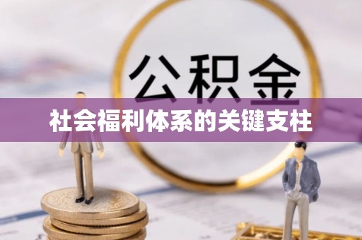 弥渡社会福利体系的关键支柱