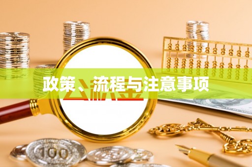 弥渡政策、流程与注意事项