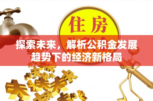 弥渡探索未来，解析公积金发展趋势下的经济新格局