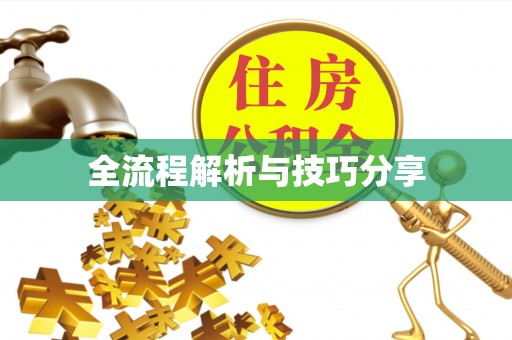 弥渡全流程解析与技巧分享